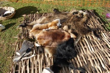 A display of animal skins