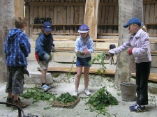 Preparing dyeing materials