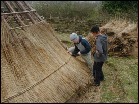 thatching