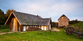 Viking Longhouse in Cranborne