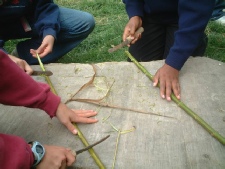 Removing Willow bark to make string