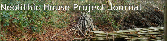 Neolithic House Project Journal